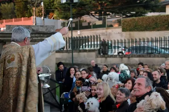 El p&aacute;rroco de la Soledad, monse&ntilde;or Alberto Cuevas, bendice a las mascotas sostenidas en brazos por sus propietarios durante la tradicional celebraci&oacute;n de San Ant&oacute;n en el atrio del templo de O Castro.