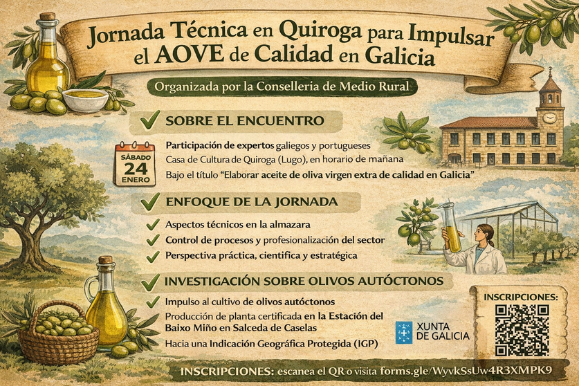 Infograf&iacute;a DL-G.