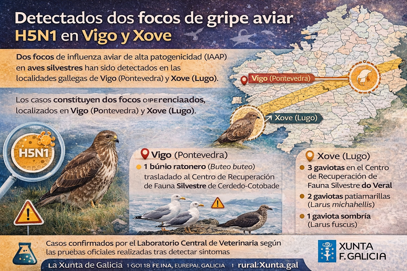 Infograf&iacute;a DL-G.