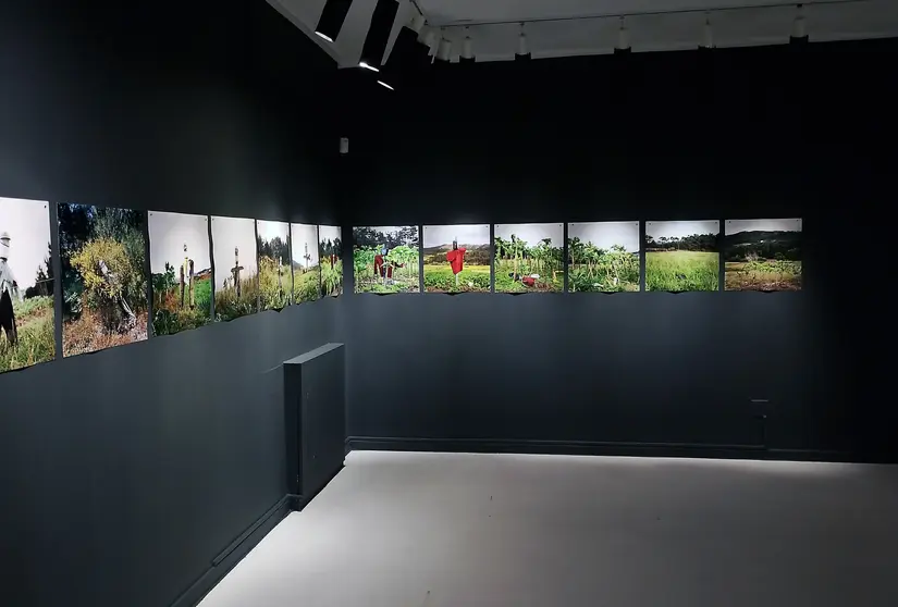 Vista parcial da exposici&oacute;n Espantallos 2012-2025, de Manuel Send&oacute;n, na Fundaci&oacute;n Laxeiro, onde o artista revisita en secuencias fotogr&aacute;ficas a evoluci&oacute;n no tempo dos espantap&aacute;xaros do rural galego.