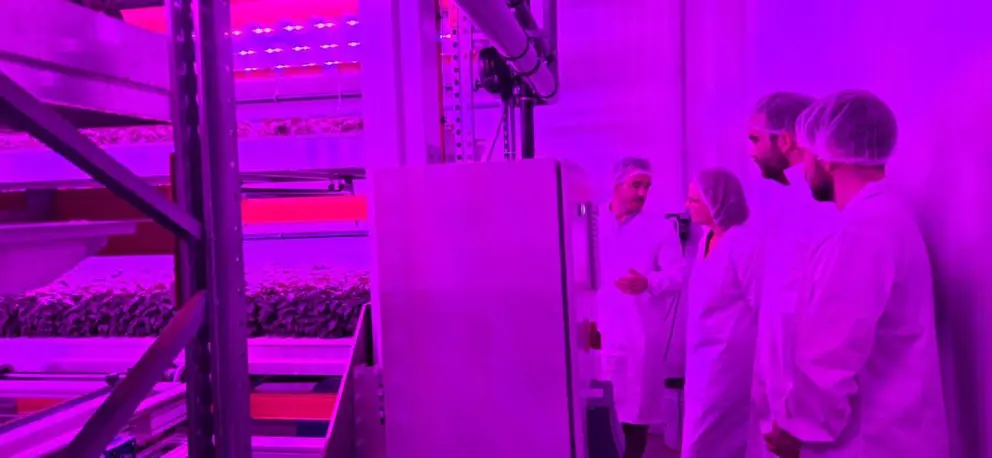 armen Cotelo visita las instalaciones de N&eacute;boda Farms en Vigo, donde conoce los sistemas de cultivo vertical y tecnolog&iacute;as de agricultura en ambiente controlado.