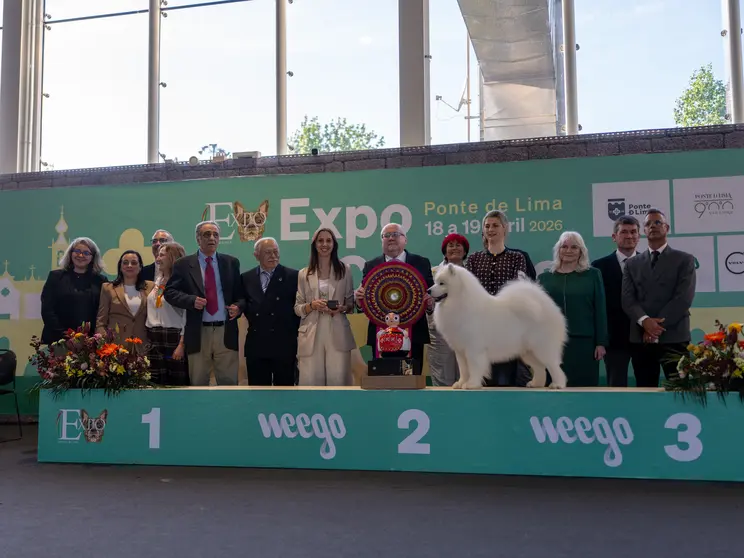 Autoridades, organizadores y participantes posan junto a uno de los ejemplares premiados durante la Expo Canina celebrada en Ponte de Lima, que reuni&oacute; a cerca de un millar de perros en una cita de referencia internacional.