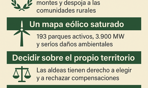 Infografía DL-G.