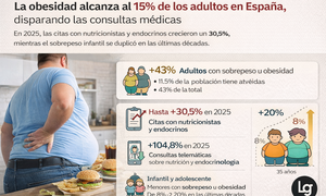 Infograf&iacute;a DL-G.