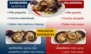 Infograf&iacute;a DL-G.