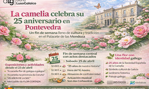 Departamento de Infograf&iacute;a DL-G.