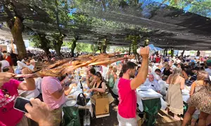 Los asadores recorren la Carballeira da Chan transportando sobre los hombros los espetos con los carneros reci&eacute;n asados hasta las mesas de los comensales, uno de los momentos m&aacute;s esperados y espectaculares de la LVII Festa do Carneiro ao Espeto de Mora&ntilde;a.