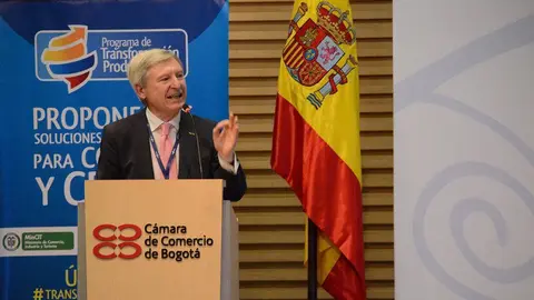 Alejandro Rubín Carballo, vicepresidente ejecutivo de la Orden del Camino de Santiago.