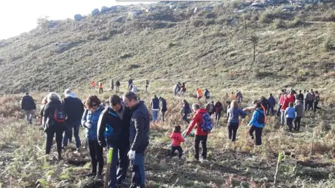 Voluntarios mobilizados polo Banco Santander fixeron hoxe, en coordinación cos comuneiros de Padróns e coa Consellería do Medio Rural, labores complementarios de apoio na área plantada con ata 105.000 bidueiros. ARCHIVOS.