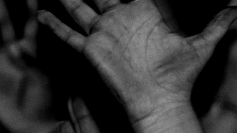 Fragmento del cartel anunciador. 