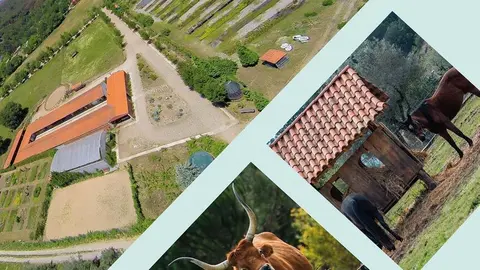 Fragmento del cartel. 