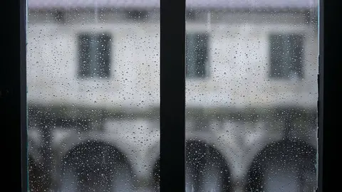 Frente a la situación de los tres últimos años, marcada por los largos períodos de sequía, la comunidad vivió el período otoñal más húmedo de la última década.