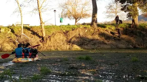 Varios miembros de la asociación Cerveira Team Running se unieron este sábado para otra acción para limpiar el río Minho, esta vez en Marina da Lenta.