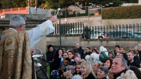 La bendición de las mascotas el año pasado. 