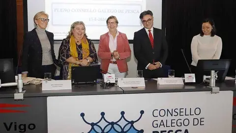 Las principales mejoras conseguidas fueron subida del 24% en el jurel al sur de Fisterra, frente al recorte del 50% que proponía el Ejecutivo comunitario, y el aumento del 41% para la xarda.