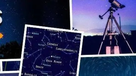 Fragmento del cartel.