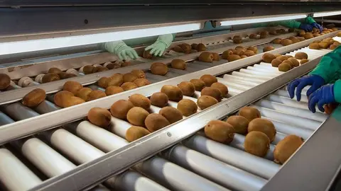 El presupuesto previsto en la orden del DOG contempla una dotación de algo más de 12,6 millones de euros para este año 2020, de 11,1 millones para el 2021 y de 2,2 millones para el 2022.