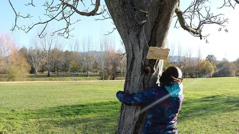 Esta pequeña ruta posee un conjunto de información en código Braille, sigue un trazado prácticamente plano, sin obstáculos, marcado con pavimento táctil direccional y provisto de aparatos de proximidad.