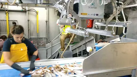 Se reconocen y cuantifican las especies, incluso cuando están solapadas o
superpuestas, y se ha conseguido su funcionamiento autónomo.