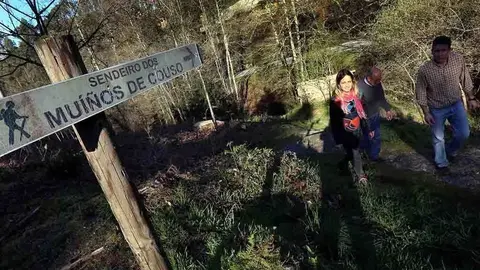 Parque forestal San Cibrán-Os Muíños de Couso.