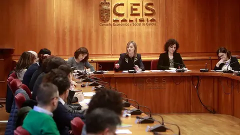 A conselleira de Política Social, Fabiola García, preside a posta en marcha deste novo organismo de carácter consultivo na sede do Consello Económico e Social de Galicia.