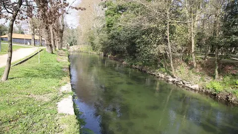Río Vizela. 