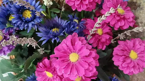 Sécias, flor sencilla, con suave aroma casi imperceptible y relajante. 