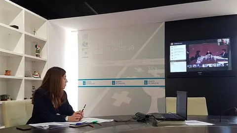La directora general de Comercio y Consumo, Sol Vázquez, participó en la Conferencia sectorial de Comercio Interior, en la que defendió la necesidad de combinar las ayudas económicas con medidas específicas para el comercio de cercanías.