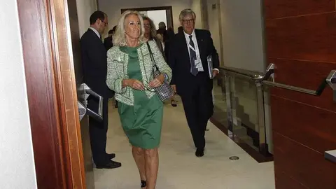 Corina Porro, a delegada territorial da Xunta en Vigo. ARQUIVO. 