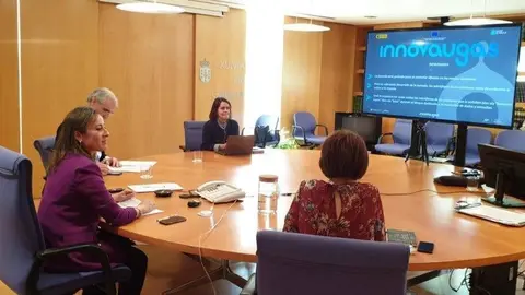 A conselleira de Infraestruturas e Mobilidade, Ethel V&aacute;zquez, e o conselleiro de Econom&iacute;a, Emprego e Industria, Francisco Conde, present&aacute;ronlles hoxe por videoconferencia esta iniciativa aos axentes do mercado da innovaci&oacute;n.
