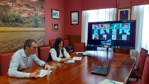 Un intre da reunión telemática sobre terrazas. 