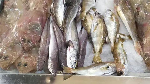 Puesto de venta de pesacado en la plaza de O Porri&ntilde;o. 