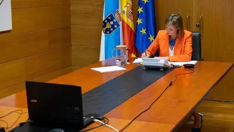 La conselleira de Pol&iacute;tica Social particip&oacute; en la reuni&oacute;n del Consejo Territorial de servicios sociales y del sistema para la autonom&iacute;a y atenci&oacute;n a la dependencia