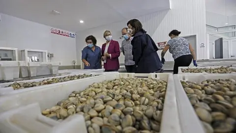 La conselleira del Mar se reunió en O Grove con representantes de la cofradía y de las mariscadoras para analizar las medidas para hacer frente a la crisis de la covid-19.