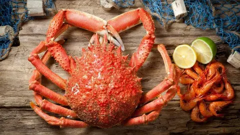 Se abre la extracción de este crustáceo, el centollo en A Coruña y Pontevedra. En la provincia de Lugo el centollo permanecerá en veda hasta el 29 de noviembre, día incluido. 