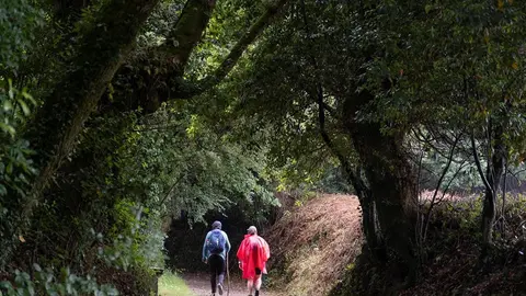 Proximidades do albergue de Poulo, Ordes.