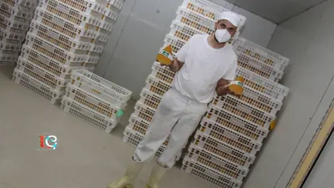 Modesto Toubes cos dos formatos de queixos de San Simón Casleiras nas mans. 