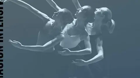 Fragmento del cartel anunciador. 