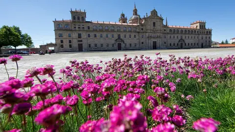 El Colegio de Nosa Señora da Antiga, también conocido, entre otras denominaciones, como Colegio del Cardenal o Colegio de la Compañía es uno de los exponentes más significativos de la arquitectura del clasicismo herreriano en Galicia. CEDIDA POR TURISMO DE GALICIA/GIVEN UP BY TURISMO DE GALICIA