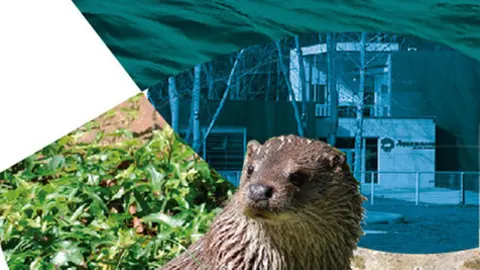 Detalle del cartel anunciador. 