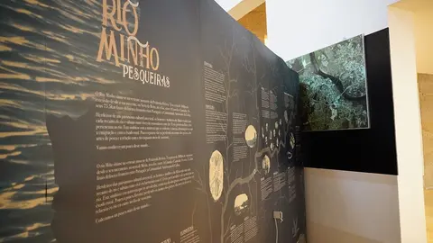 Do 21 de xullo a 7 de agosto no espazo Anexo da Sala Municipal de Exposicións.