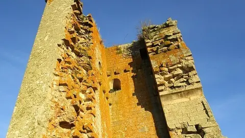 Los trabajos tienen como finalidad evaluar las posibles deficiencias, corregir las patologías existentes y mejorar el estado de conservación de este importante elemento del patrimonio histórico de nuestra Comunidad.