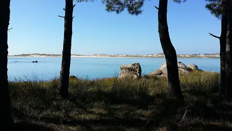 La iniciativa está dirigida a mujeres solas con responsabilidades familiares no compartidas, teniendo preferencia las víctimas de violencia de género.