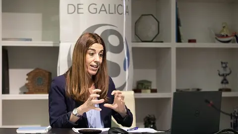 La directora general de Comercio y Consumo, Sol Vázquez, intervino en un webinario sobre el nuevo programa de apoyo, al cual podrán presentarse solicitudes hasta el próximo 30 de septiembre.