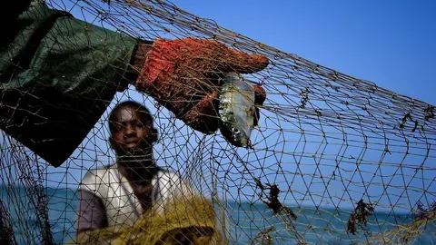 Pescadores recogiendo sardinas en la costa senegalesa de Joal Fadiout. Senegal.