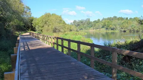 A ecovia foi idealizada num contexto de adaptação à topografia original, incidindo em carreiros e caminhos já existentes. 