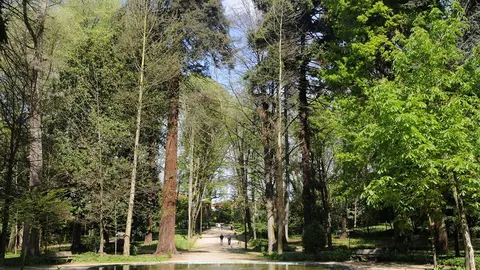 Associação Portuguesa de Jardins Históricos criou em todo o território nacional doze rotas com jardins históricos, passando o Parque das Termas a fazer parte da Rota do Baixo Minho.