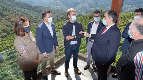 Feijóo reitera el compromiso de la Xunta con el sector vitivinícola gallego y destaca la calidad de la uva cosechada en esta vendimia.