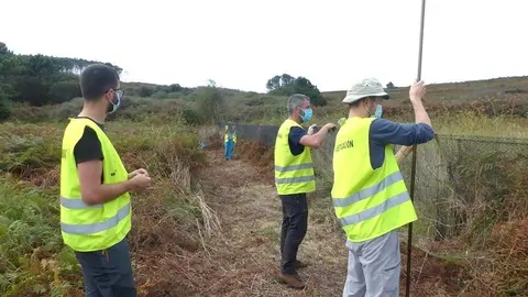Voluntarios instalando unha rede xaponesa para anillamento.