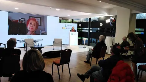 Rosa María Calaf interviniendo en línea. 